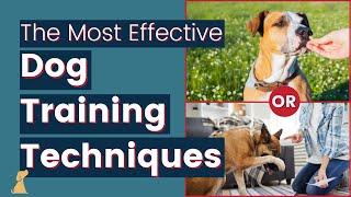 Dog Training 101 Most Effective Training Techniques and Advice to Avoid