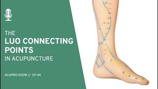 44: The LUO Connecting Points in Acupuncture