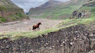 Уна - покинутый и заброшенный старинный аул Дагестана. Наш путь к нему 07.05.24