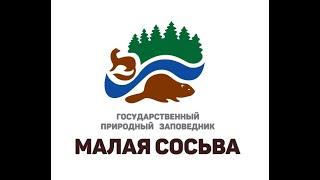 ВЕСНА.  ТЕТЕРЕВА. @заповедник "Малая Сосьва", 2022