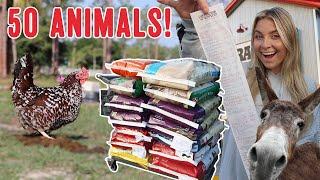 The ACTUAL cost of 50 farm animals | Buying Feed For ALL MY PETS IN ONE VIDEO!