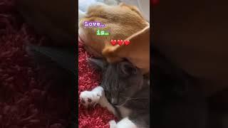 how to feel love in your life ???