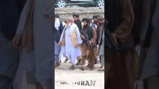 Prime Minister Of Taliban Attitude status #shorts