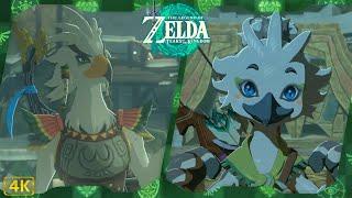 Rito Village Regional Phenomena Walkthrough V2 | The Legend of Zelda: Tears of the Kingdom ⁴ᴷ