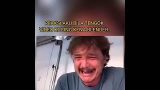 REAKSI AKU BILA TENGOK VIDEO KUCING KENA BLENDER