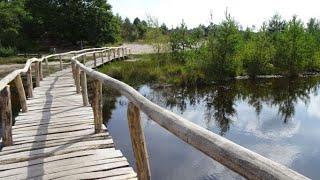 632 Brunssummerheide (Limburg, NL) 10 km