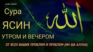  Сура "Ясин, "Утром и Вечером"سورة يس Очень сложные проблемы будут решены Ин Ша Аллах