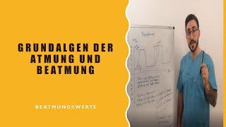 Grundlagen der Atmung und Beatmung - Beatmungseinstellungen