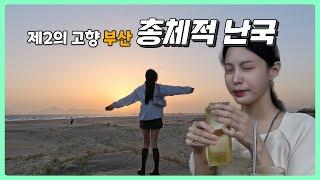 편집자님이 반란을 일으켰습니다.