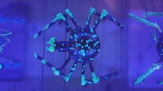 DIY Arc Welding Projects for Beginners Using Scrap Metal - Make a Spider and Ant