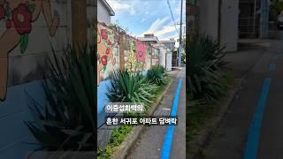 제주도여행 흔한 서귀포 아파트 담벼락 이중섭 벽화