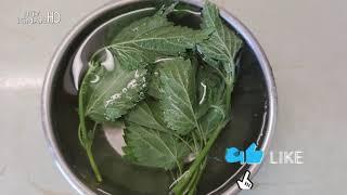 LJEKOVITA KOPRIVA (ŽARA) ČUDO IZ PRIRODE... HOW TO MAKE NETTLE TEA...DETAILS