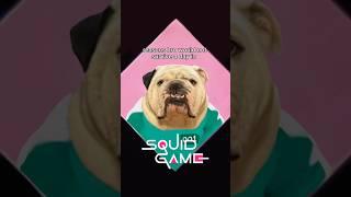 bro’s cooked  #squidgame #bulldog #dogshorts #dogs #doglover #panda #foryou #viralshort