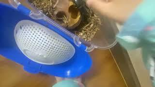 세모네모 사마귀 사슴벌레 사육사 네모?!