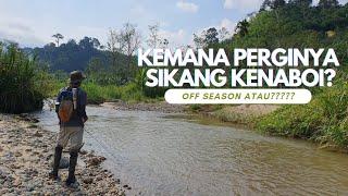 CASTING SIKANG KENABOI : BENGKOK PULAK SNAP DECOY DIASAK PECUTAN PENGHUNI JERAM