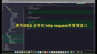 如何在Jetbrains IDEA里面管理我们的api接口