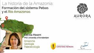 La historia de la Amazonia: Formación del sistema Pebas y el Rio Amazonas