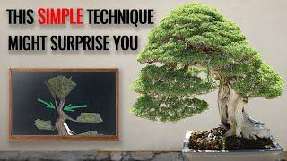 SIMPLE bonsai technique to mature your bonsai tree sooner  |  how to develop a bonsai apex
