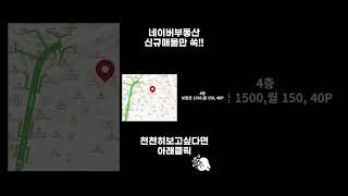 (25일12건) 네이버부동산 [오늘의신규매물]만 골라 보고 싶다면?!