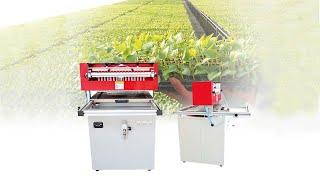 semi automatic nursery seeding machine price / cultivate machine in China / nursery seeder factory