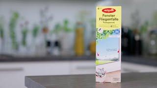 Aeroxon Fenster-Fliegenfalle Transparent – fängt Fliegen am Fenster