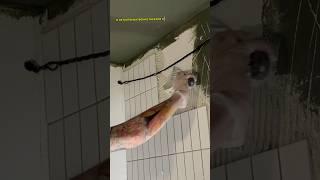 Еще больше о ремонте смотри в моем инстаграм, ссылка в шапке профиля ️#ремонт