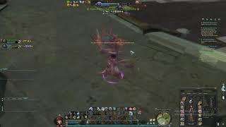 Aion 4.6 Bard vs Sorcerer