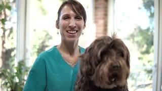 CAP 474. CONSEJOS DE PELUQUERÍA CANINA EN CASA. Cuidados básicos.