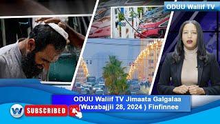ODUU Waliif TV Jimaata Galgalaa (Waxabajjii 28, 2024 ) Finfinnee