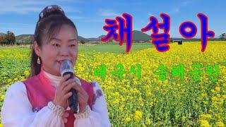 구절초/채설아단장~대구 송해공원