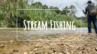 STREAM FISHING - SIKANG