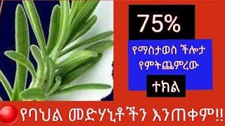 #65 የማስታወስ ችሎታን 75% የምትጨምረው ተክል!(@ethiotube3882 (Dropship | Gmail )