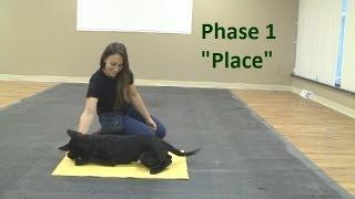 How to Train a Dog to Go to a "Place" Mat (K9-1.com)