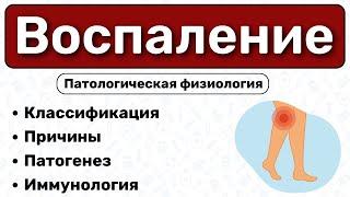 Воспаление: виды, патогенез / Патологическая физиология