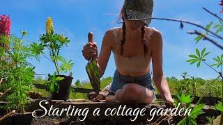 Creating my dream cottage garden