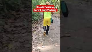 Inside Panama forest #india #pakistan #ghana #nigeria #trending #travel #stort #usadonkey #traveler