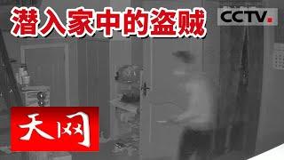 《天网》乡村不速之客屡次犯下盗窃案 3个月内频频得手 案件侦破困难重重 田埂上的男人（上）20220706 | CCTV社会与法