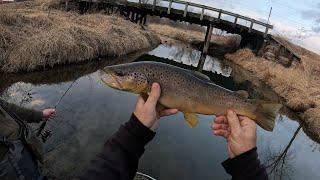 Wisconsin Trout Fishing - 2/2/2025