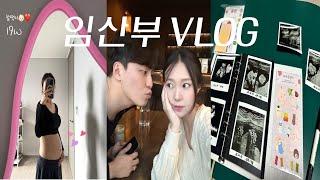 [VLOG] 임산부 브이로그입덧 끝나고 살만해진 임신 중기 19-23주 일상(정밀초음파, 임당 식단관리, 급찐+8kg)
