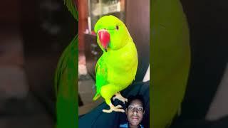 https://youtube.com/shorts/Pe6aGmC7630?si=Zkl64bqXRSMVgr