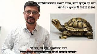 घरात किंवा व्यवसायाच्या ठिकाणी कासव ठेवण्याचे फायदे | Benefits of keeping Tortoise at Home & Office.