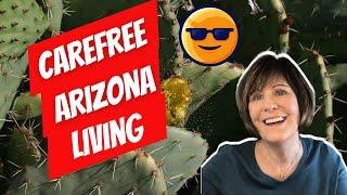 Living In Carefree | Carefree AZ Real Estate