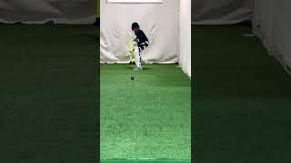 Sublime shotmaking  #cricketgraph #cricket #youtube #shorts