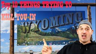 Top 10 Things trying to kill you in Wyoming