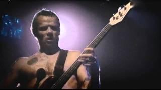 Red Hot Chili Peppers - Scar Tissue - Live at Olympia, Paris