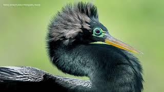 Visit the Trinity River Audubon Center