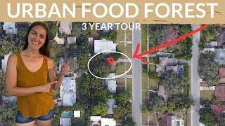 How She Created a Food Forest in 3 Years on 1/8 an Acre (Garden Tour)