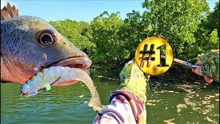 The Best Lure Hack for Fishing Mangroves