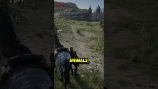 The Correct Way To Hunt Small Animals In Red Dead Online