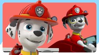 PAW Patrol 1 Hour of Marshall Rescues  | Spin Kids Cartoons | Cartoons for Kids